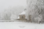 Les Fagnes enneigées (Belgique)