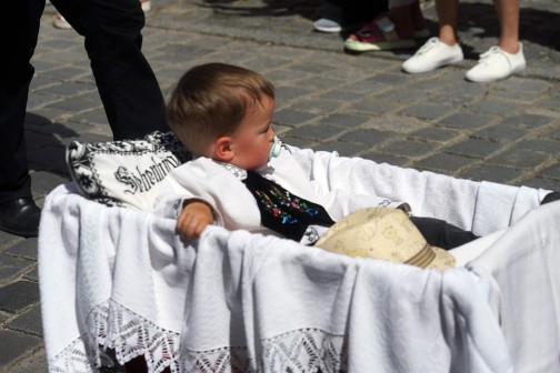 Der Fußmarsch war ihm zu lang - dabei im Holzwagen